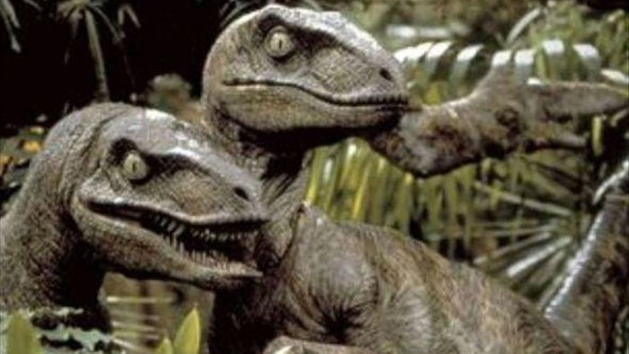 Bộ phim Công viên kỷ Jura đã sai: Khủng long Raptor không đi săn theo bầy - 1