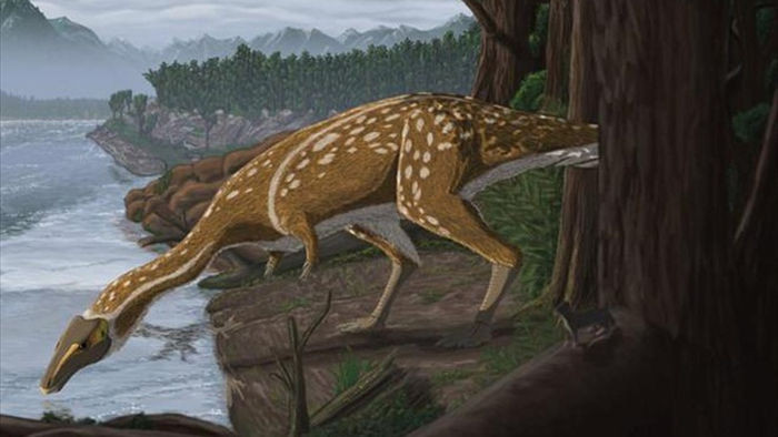 Phát hiện hóa thạch khủng long cực hiếm ở Úc - 1