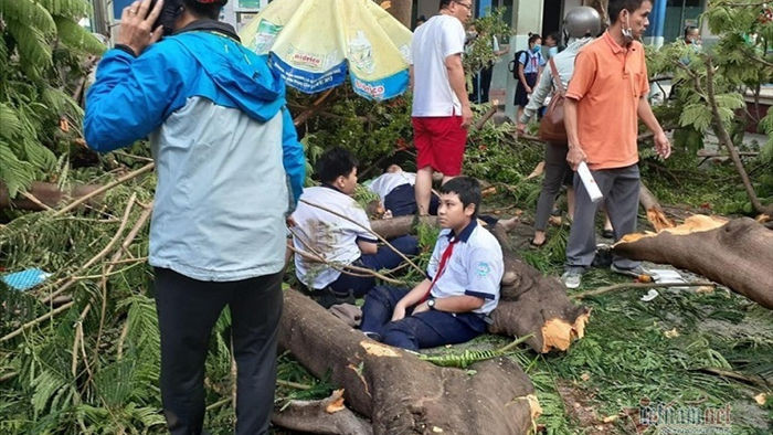 Học sinh bị cây đè tử vong, Bộ trưởng Giáo dục gửi lời chia buồn