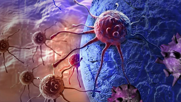 Phát hiện được các khối u ung thư có khả năng tự bảo vệ mạnh mẽ chống virus - 1
