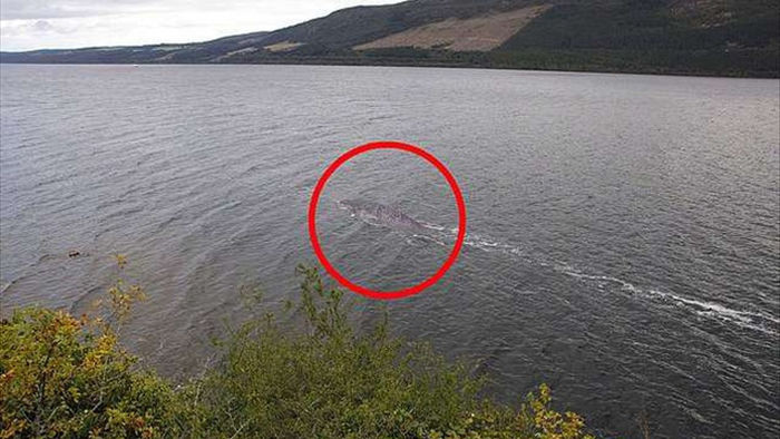 Hình ảnh rõ nét mới nhất về “quái vật” hồ Loch Ness? - 1