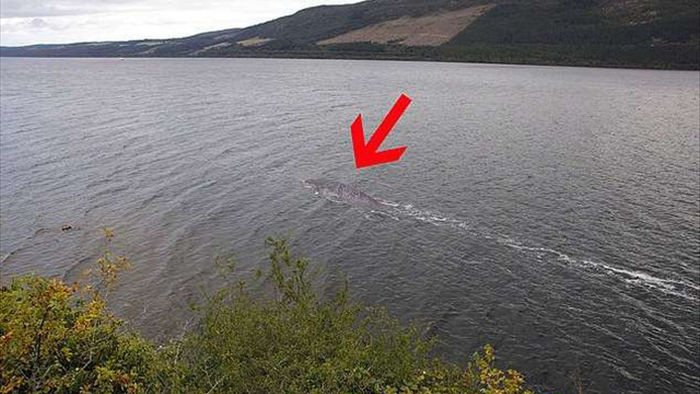 Hình ảnh rõ nét mới nhất về “quái vật” hồ Loch Ness? - 2