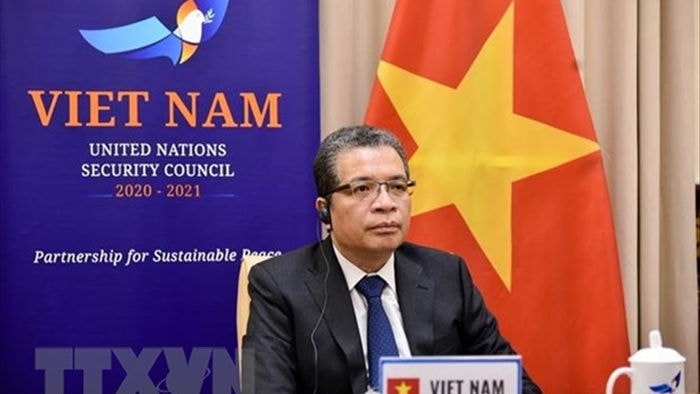 Việt Nam dự phiên họp trực tuyến của HĐBA về tình hình Trung Đông hình ảnh 1 Viet Nam du phien hop truc tuyen cua HDBA ve tinh hinh Trung Dong hinh anh 1