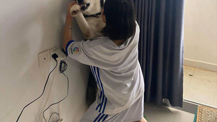 Cô gái cưỡng hôn chó Husky, biểu cảm của con vật khiến người xem không thể nhịn cười - Ảnh 2.