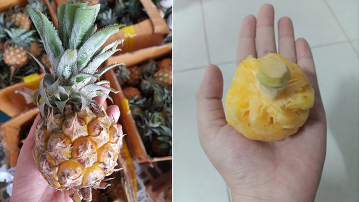 Thực hư dứa Thái mini siêu ngọt giảm giá 'sập sàn' 10.000 đồng/kg