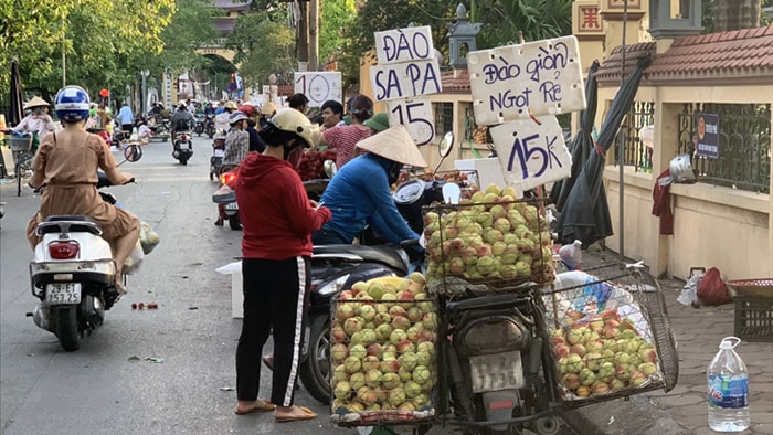 Dân buôn tiết lộ sự thật về đào Sa Pa bán tràn ngập chợ