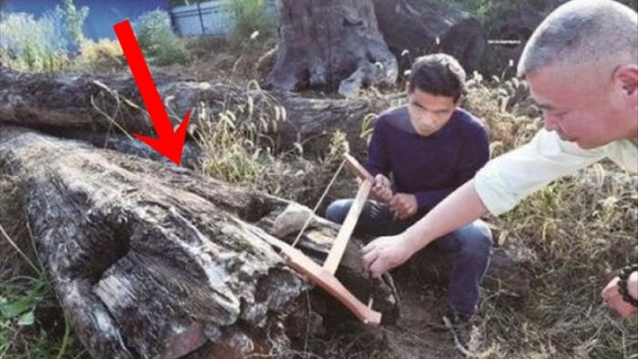 Mang khúc gỗ xấu xí về vứt ở góc vườn, 5 năm sau người đàn ông choáng váng phát hiện đó là cả gia tài trị giá 66 tỷ đồng - Ảnh 2. Mang khúc gỗ xấu xí về vứt ở góc vườn, 5 năm sau người đàn ông choáng váng phát hiện đó là cả gia tài trị giá 66 tỷ đồng - Ảnh 2.