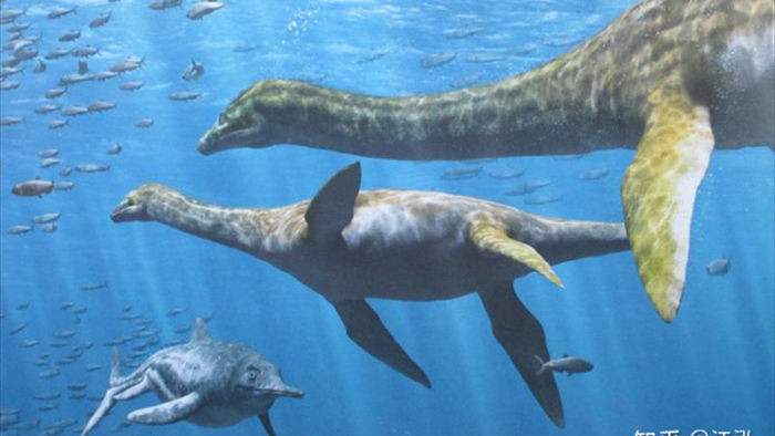 Hóa thạch của quái vật biển kỷ Jura được tìm thấy trên núi của Thụy Sĩ - Ảnh 12.
