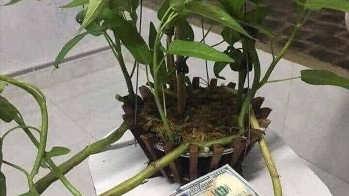 Cười bò khi dân mạng đua nhau chế ảnh giao dịch lan đột biến tiền tỷ - 1 Cười bò khi dân mạng đua nhau chế ảnh giao dịch lan đột biến tiền tỷ - 1