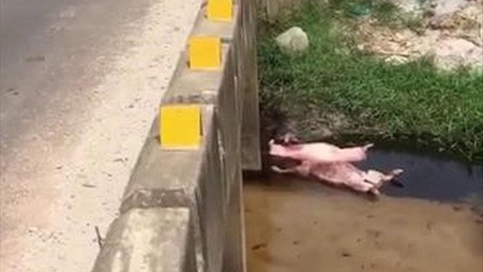 nóng 24h: vụ thi thể nữ sinh dưới mương nước có dấu hiệu án mạng hình 2 nong 24h: vu thi the nu sinh duoi muong nuoc co dau hieu an mang hinh 2