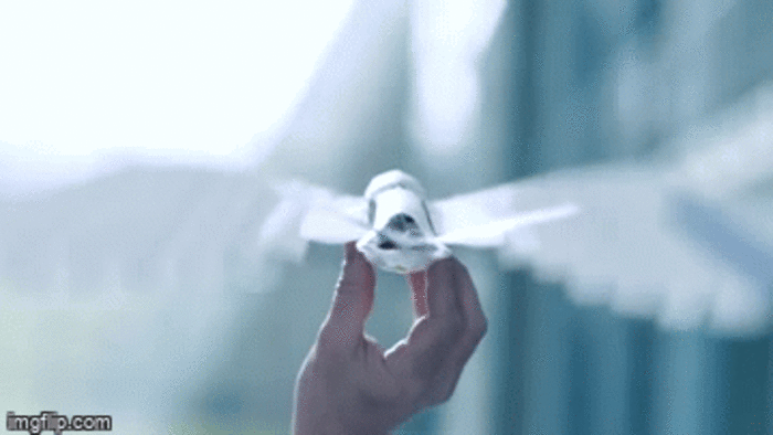 Siêu ấn tượng robot vỗ cánh bay như chim thật - Ảnh 3.
