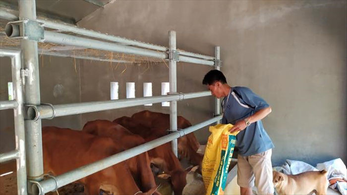 'Biệt thự' cho bò giá hơn 200 triệu đồng ở Nghệ An có gì đặc biệt? - 11