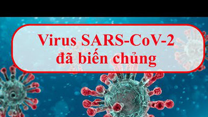  Biến chủng của virus Sars-Cov-2 ở Đà Nẵng có bất thường không? - Ảnh 1.