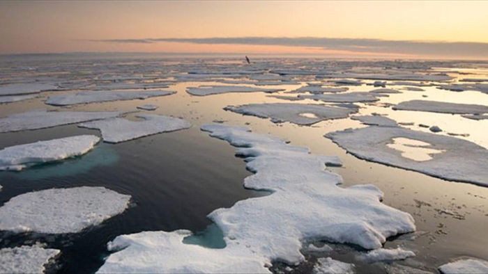 “Hóa chất vĩnh cửu” được phát hiện lần đầu tiên ở nước biển Bắc Cực - 1