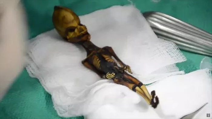 Các nhà khảo cổ chết lặng khi tìm thấy xác ướp bí ẩn giống người ngoài hành tinh - 2