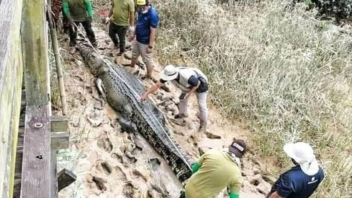 Tìm thấy thi thể cậu bé 14 tuổi bị mất tích ở Malaysia trong bụng cá sấu - 2