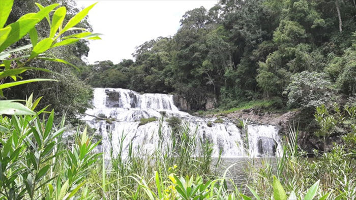 Say đắm với vẻ đẹp của thác Kon Bông giữa rừng xanh - 5