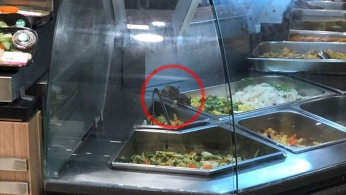Có chuột bò trên quầy thức ăn, Aeon Việt Nam xin lỗi khách hàng - 1