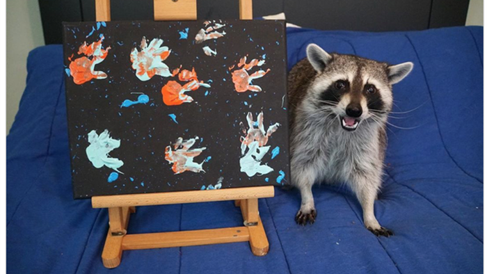 “Nghệ sĩ” gấu mèo nổi đình đám với các bức tranh tiền triệu - 3