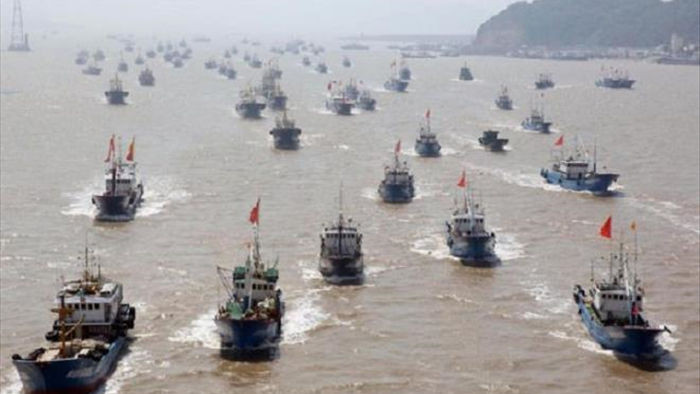 Hàng nghìn tàu cá của Trung Quốc chuẩn bị ùa ra Biển Đông - 1
