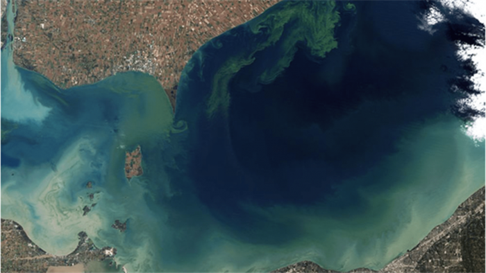Hồ nước đột nhiên chuyển sang màu khác thường sau khi tảo độc sinh sôi - 1