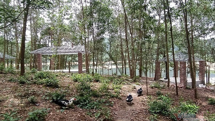 Chủ khách sạn ở Hà Tĩnh lại xây công trình trái phép trên đất rừng