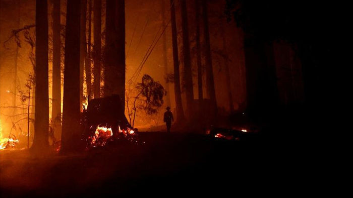 650 đám cháy rừng càn quét bang California, 7 người chết - 7