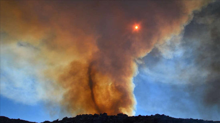 Vòi rồng lửa cực hiếm xuất hiện từ cháy rừng thảm khốc ở California - 1