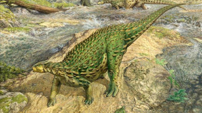 Bộ xương khủng long hoàn chỉnh duy nhất được ghép sau 160 năm - 1