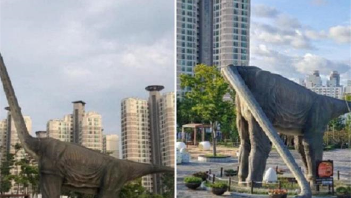 Bão Maysak quật gãy cổ 'khủng long' ở Hàn Quốc - 1