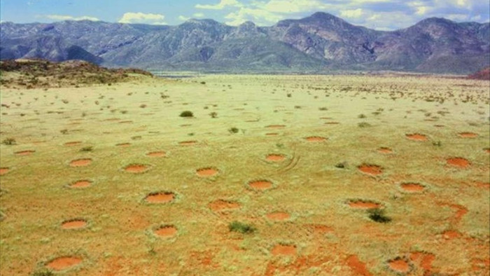 Bí ẩn “vòng tròn thần tiên” ở Namibia - 1