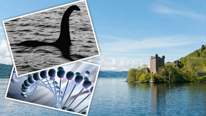 Bí ẩn ngàn năm về quái vật hồ Loch Ness - Kỳ 2: Bất ngờ thủy quái khổng lồ xuất hiện trên cạn - Ảnh 1.