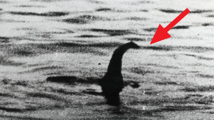 Bí ẩn ngàn năm về quái vật hồ Loch Ness - Kỳ 2: Bất ngờ thủy quái khổng lồ xuất hiện trên cạn - Ảnh 3.