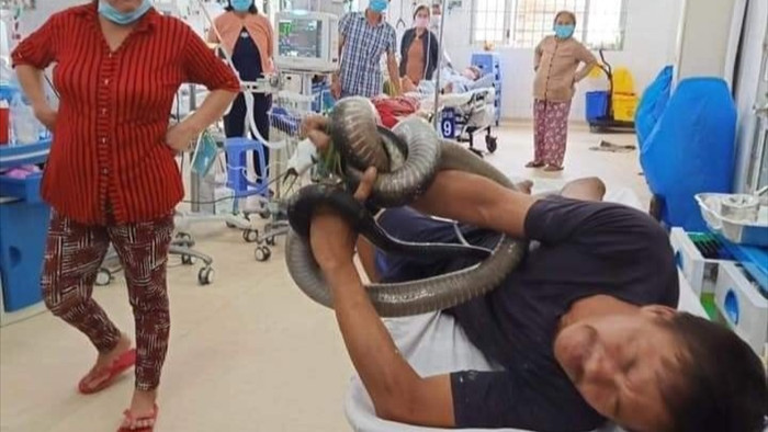 Kỳ tích cứu sống bệnh nhân ôm rắn hổ chúa đi cấp cứu - 1