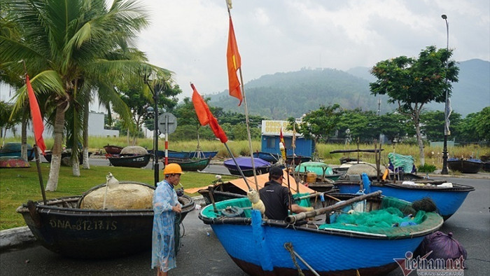Đà Nẵng, Quảng Nam gấp rút gặt lúa, chèn chống nhà tránh bão số 5