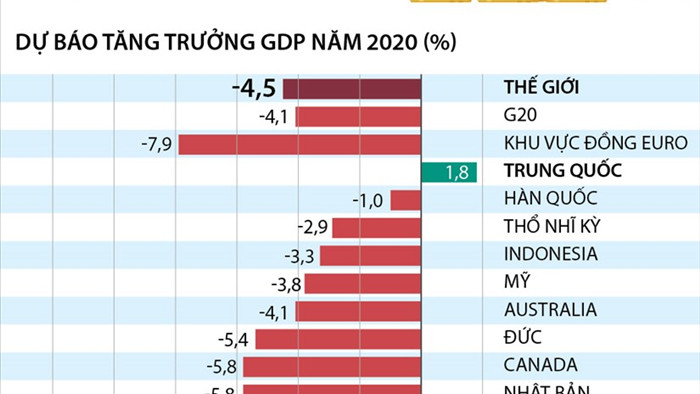 [Infographics] OECD du bao GDP toan cau nam 2020 giam 4,5% hinh anh 1