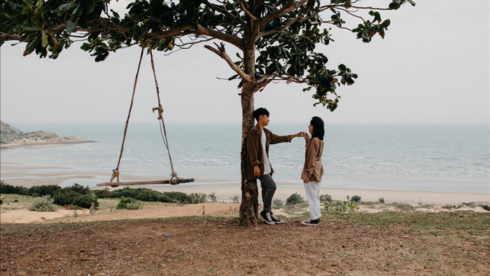Đẹp ngỡ ngàng cây bàng cô đơn ở Bình Thuận - 2