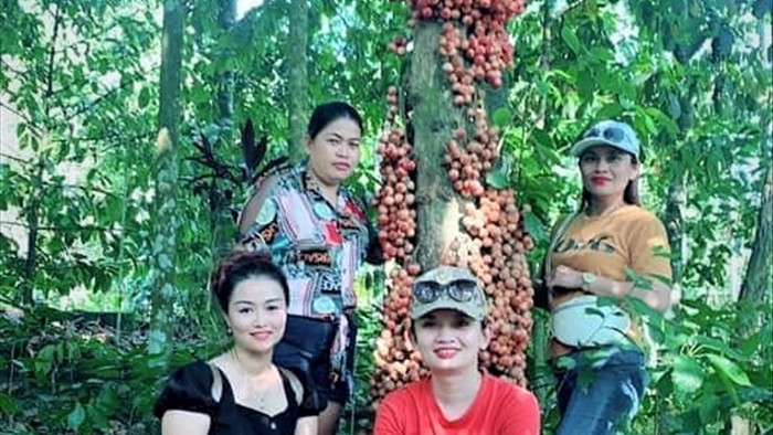 Du khách “lịm tim” với mùa dâu đất chín đỏ vùng trung du Quảng Nam - 5