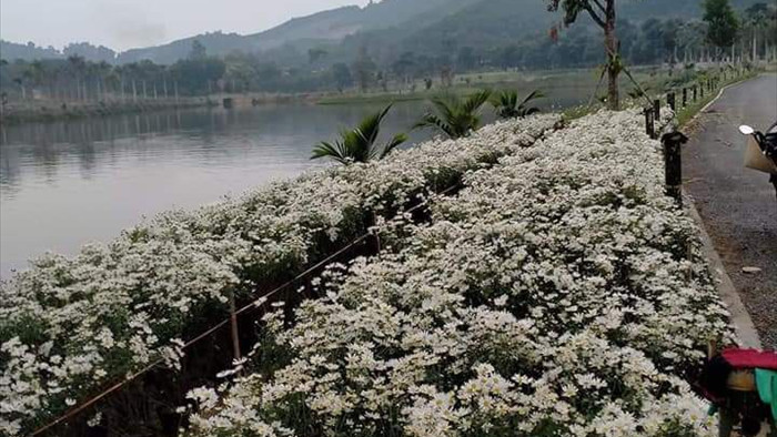 Thung lũng hoa Phủ Quỳ, điểm check in tuyệt đẹp giữa núi đồi xứ Nghệ - 1