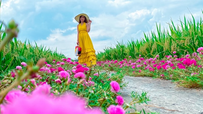 Hướng dẫn tới đường hoa mười giờ đẹp nhất Gò Công - 5 Hướng dẫn tới đường hoa mười giờ đẹp nhất Gò Công - 5