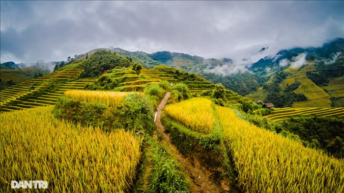 Chạy bộ khám phá vẻ đẹp rực rỡ của những bản làng Mù Cang Chải - 3 Chạy bộ khám phá vẻ đẹp rực rỡ của những bản làng Mù Cang Chải - 3