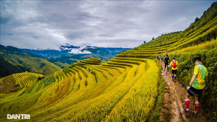 Chạy bộ khám phá vẻ đẹp rực rỡ của những bản làng Mù Cang Chải - 12 Chạy bộ khám phá vẻ đẹp rực rỡ của những bản làng Mù Cang Chải - 12