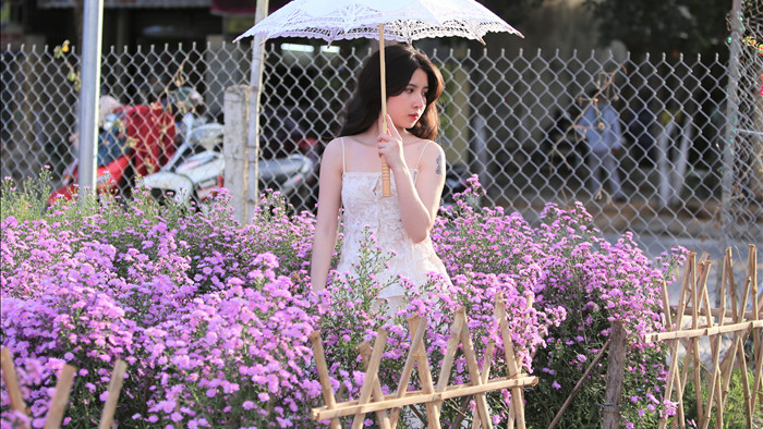 Náo nức “check in” vườn hoa thạch thảo tím “lịm tim” ở Đà Nẵng - 8
