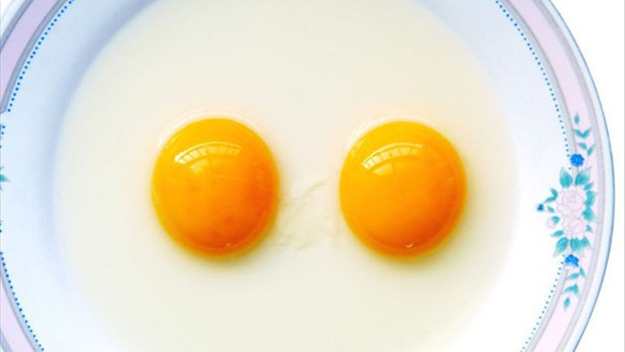 Vì sao quả trứng có thể có tận 2 lòng đỏ? - Ảnh 1.