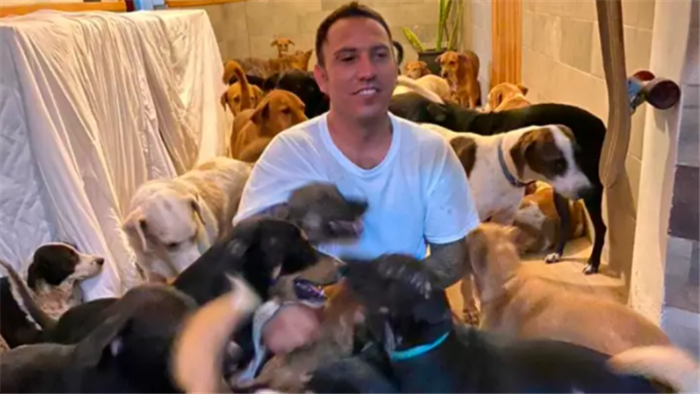 Người hùng cưu mang hàng trăm chú chó hoang trong cơn bão - 1