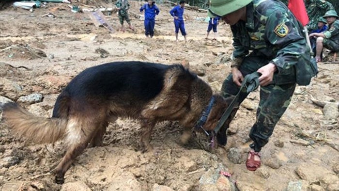 Trực tiếp: Tìm thấy 6 thi thể cán bộ, chiến sỹ mất tích khi cứu nạn Rào Trăng 3 - 5