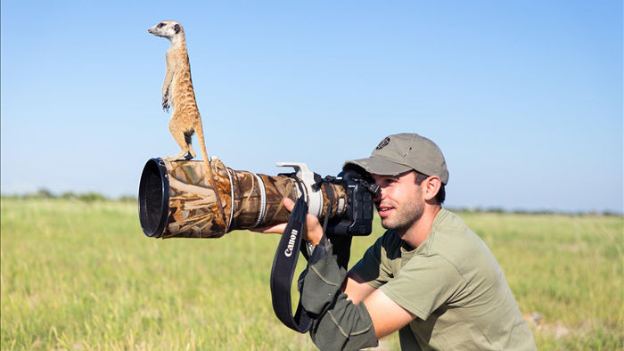 Các nhà làm phim giữ an toàn khi ghi hình động vật hoang dã như thế nào? - 1