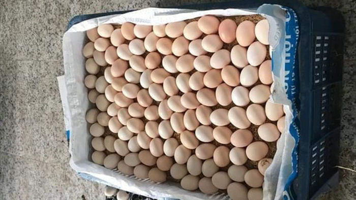 Trứng gà ác đắt gấp đôi trứng thường: Tiểu thương chỉ cách chọn hàng chuẩn