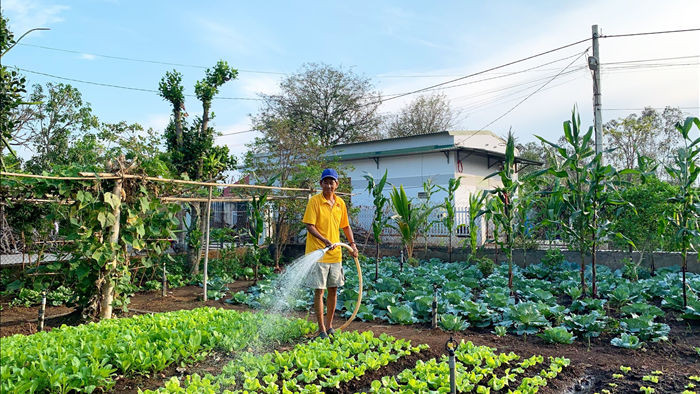 Đã mắt khu vườn 700m2 đủ loại rau củ quả sạch của gia đình ở Đắk Lắk - 1