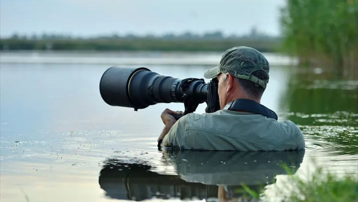 Các nhà làm phim giữ an toàn thế nào khi ghi hình động vật hoang dã? (P2) - 1